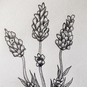 Meet your Posher, Aria